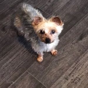 Meet your Posher, Brianna